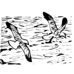 出境海鸥矢量图